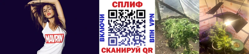 Купить наркотик аптеки Камышин Alpha-PVP Бошки Шишки Мефедрон Гашиш АМФЕТАМИН Cocaine