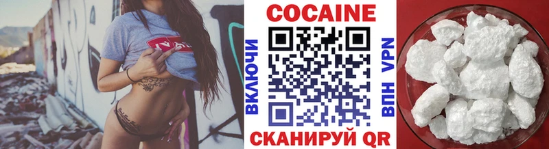 купить наркоту  ссылка на мегу ссылки  COCAIN FishScale  Камышин 