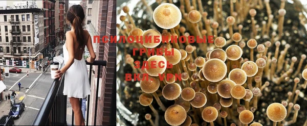 шишки Краснослободск