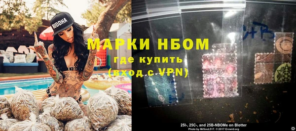 шишки Краснослободск