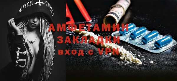 шишки Краснослободск