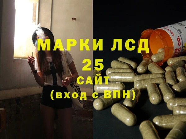 шишки Краснослободск