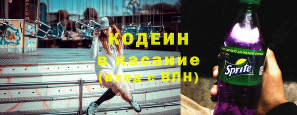 шишки Краснослободск