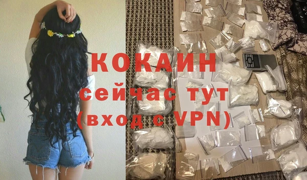 шишки Краснослободск