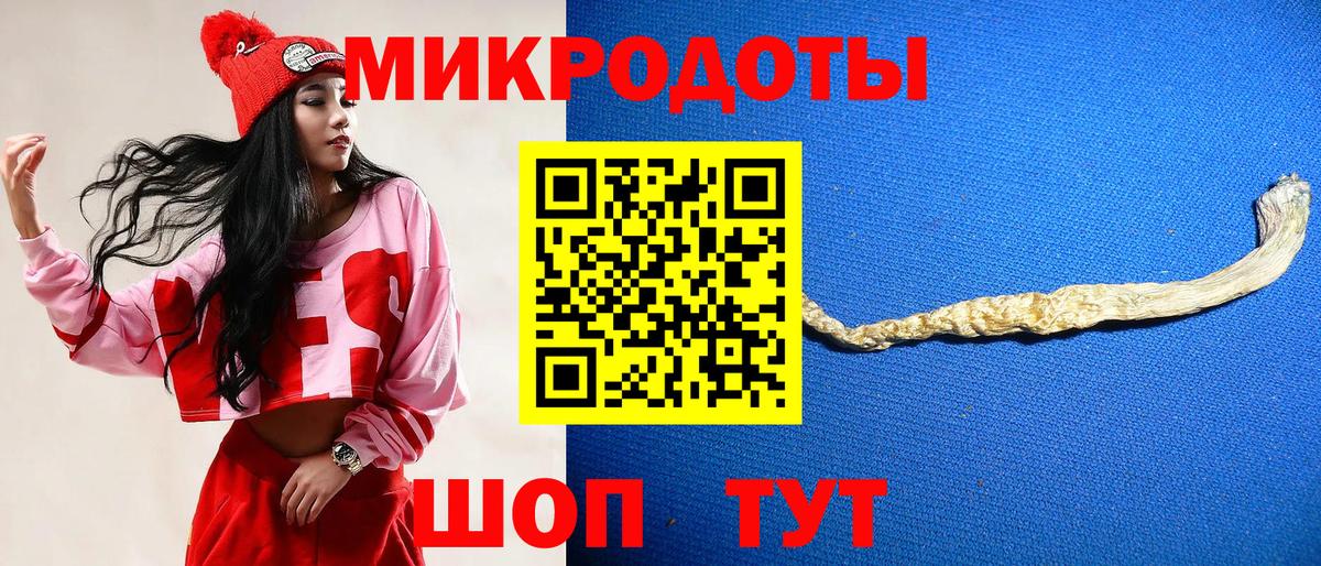 Галлюциногенные грибы Cubensis Камышин